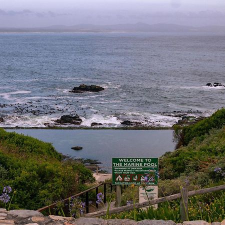 Goozi Garden Cottage Hermanus Bagian luar foto